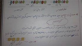 زیست شناسی یازدهم متوسطه دوم  فصل 1 : تنظیم عصبی (فصل 1 گفتار اول - تنظیم عصبی - بخش دوم)