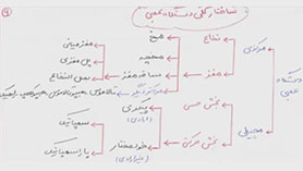 زیست شناسی یازدهم متوسطه دوم  فصل 1 : تنظیم عصبی (ساختار دستگاه عصبی مرکزی)