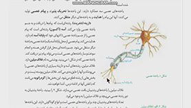 زیست شناسی یازدهم متوسطه دوم  فصل 1 : تنظیم عصبی (تدریس شکل های فصل 1)