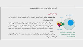 زیست شناسی یازدهم متوسطه دوم  فصل 4 : تنظیم شیمیایی (اشکال فصل تنظیم شیمیایی)