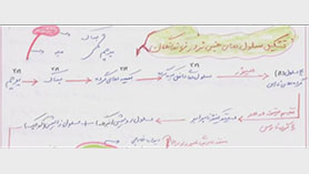 زیست شناسی یازدهم متوسطه دوم  فصل 8 : تولید مثل نهان دانگان (تولید سلول جنسی نر در نهاندانه)