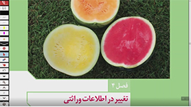 زیست شناسی دوازدهم متوسطه دوم  فصل 4 : تغییر در اطلاعات وراثتی (قسمت هشتم)