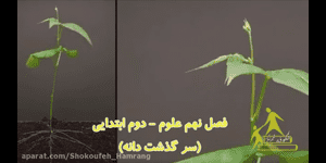 تدریس علوم دوم ابتدایی درس 9 : سرگذشت دانه