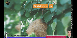 تدریس علوم دوم ابتدایی درس 10 : درون آشیانه ها
