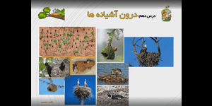 تدریس علوم دوم ابتدایی درس 10 : درون آشیانه ها