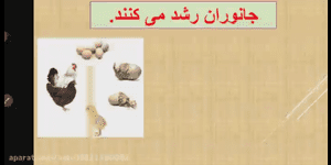 تدریس علوم اول ابتدایی درس 4 : دنیای جانوران