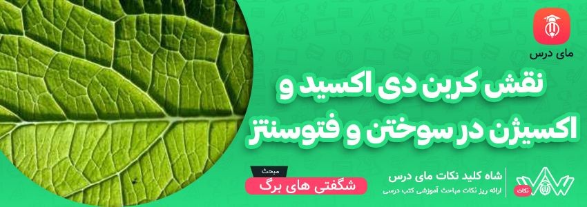 [شاه کلید مای درس] | نقش کربن دی اکسید و اکسیژن در سوختن و فتوسنتز