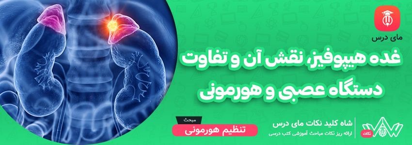 [شاه کلید مای درس] | غده هیپوفیز، نقش آن و تفاوت دستگاه عصبی و هورمونی